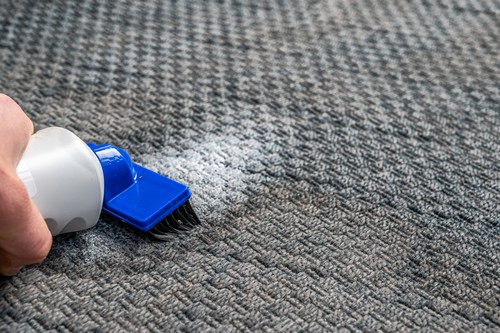 Health Benefits Of Cleaning Carpet Regularly
