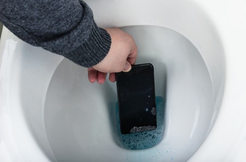 How to Disinfect Something That Fell in Your Unflushed Toilet?