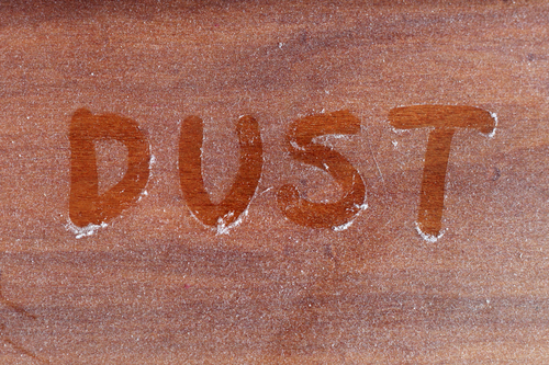 Allergens and Dust