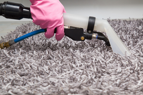  Onsite vs Offsite Carpet Cleaning What's Best for You
